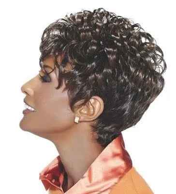Top Quality Natural African American Hairstyle Short Curly Wig